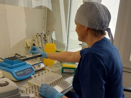 ДНК свиньи обнаружили ростовские специалисты в продукте из мяса птицы