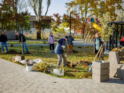 В субботу в Таганроге будут сажать деревья