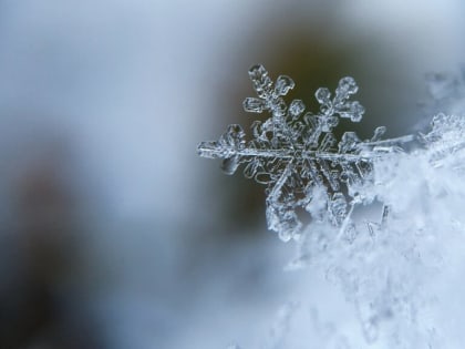 В РОСТОВСКОЙ ОБЛАСТИ СИНОПТИКИ ПРОГНОЗИРУЮТ РЕЗКОЕ ПОХОЛОДАНИЕ ДО -20°
