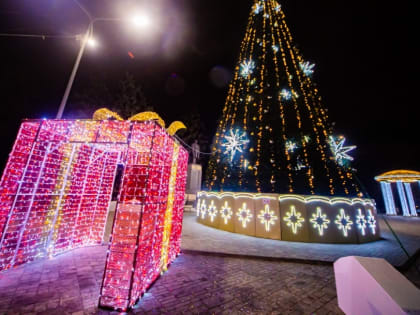 В Ростове откроют главную городскую елку 27 декабря