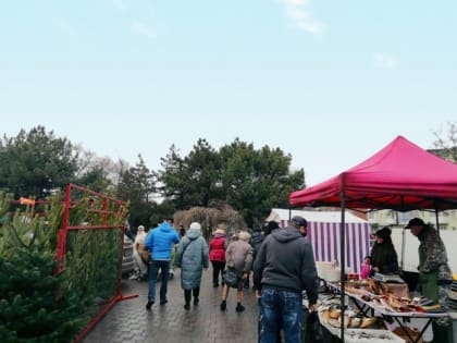 Азовчан ждут сразу две предновогодние ярмарки.