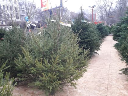 Не ходите по базару без толку – купите у красивой женщины ёлку!