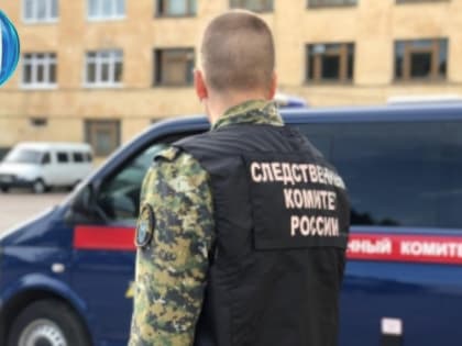 ФСБ задержала банду проукраинских националистов, которые действовали в Шахтах, Каменоломнях, Ростове и Новочеркасске, видео