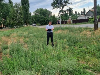 Волгодонск снова в лидерах по количеству нескошенной травы