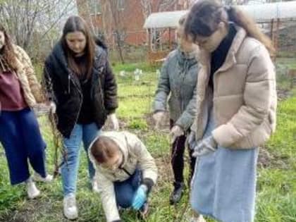 Активисты «Движения первых» принимают участие в Дне древонасаждения