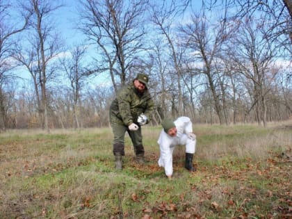 В охотхозяйствах Дона разложат 500 тысяч доз вакцины от бешенства