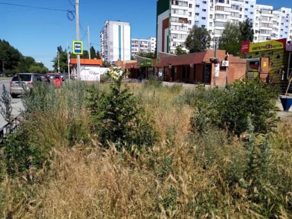 Глава администрации Волгодонска потребовал завершить покосы травы до Дня России