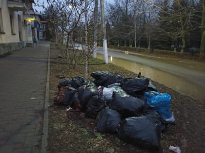 Донецк «наряжается» в мусор?