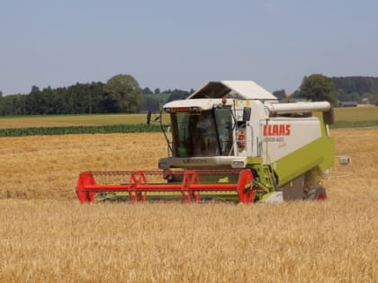 В Ростовской области собрали самый большой урожай зерновых за всю историю