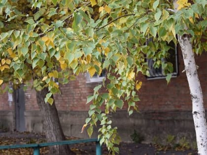 В Шахтах будет солнечно и холодно