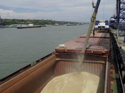 Ростовская область лидирует по агроэкспорту