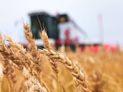 Донские аграрии получили 14 миллиардов льготных кредитов. Это помогло справиться с последствиями санкционных мер. И поддержка отрасли продолжится