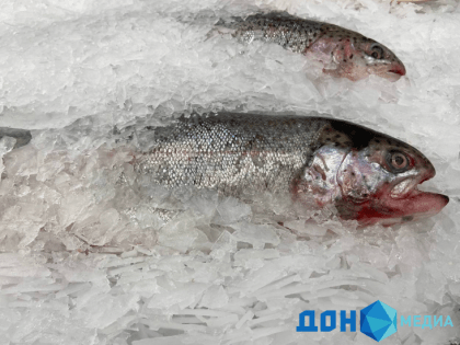 Крупный оптово-розничный рыбный рынок может появиться в Ростовской области