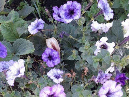 Народные приметы на 16 августа 2022 года: что можно и чего нельзя делать в этот день