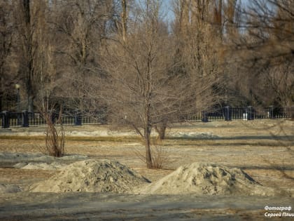 Погода в Таганроге 21 января: пасмурно и ветрено