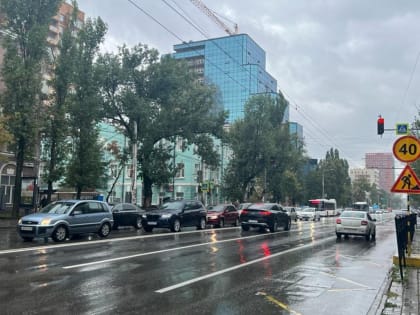 Власти Ростова хотят развивать интеллектуальную транспортную систему в городе