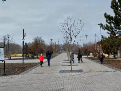 Недочеты парка имени 300-летия Таганрога: комментарий администрации