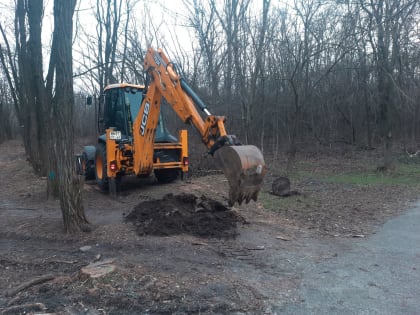 Начались работы по благоустройству Мухиной балки