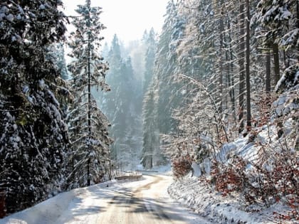 Народные приметы на 4 ноября 2022 года — что нельзя делать в этот день￼