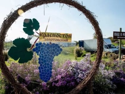 В хуторе Старозолотовском прошел эногастрономический фестиваль «Красностоп Золотовский»
