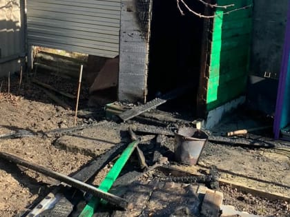 Из-за пожара сальчанка осталась без уличного туалета