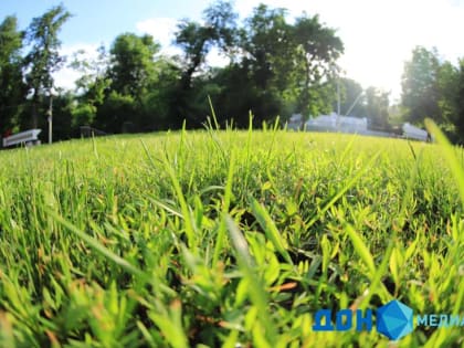 УЧЕНЫЕ: ГЛОБАЛЬНОЕ ПОТЕПЛЕНИЕ ОПАСНО УСКОРИЛОСЬ