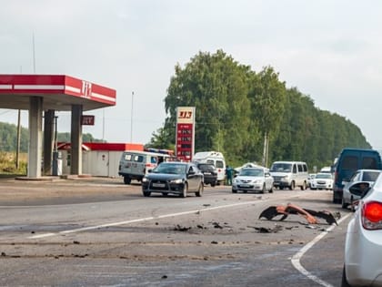 Четыре человека погибли в двух ДТП на одном участке трассы в Ростовской области