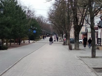 В Азове: белый воробей и аллея Памяти