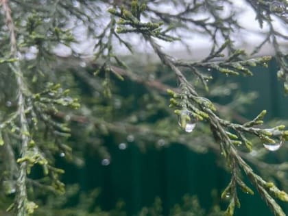 Небольшой дождь и туман обещают шахтинцам