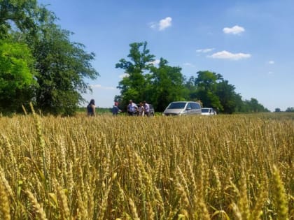 В Азовском районе на 10% выросла зарплата работников сельского хозяйства