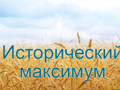 В Константиновском районе установлен исторический максимум по валовому сбору ранних зерновых