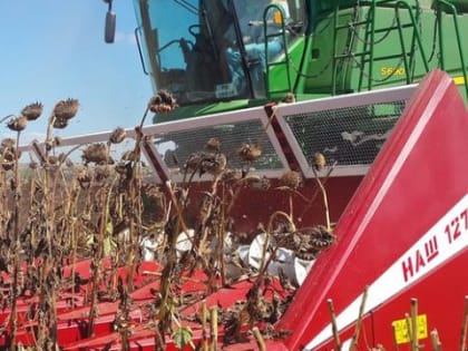 Сельскохозяйственный год в Константиновском районе близится к финишу