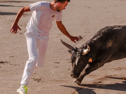 Центробанк объяснил высокие цены на мясо в Ростовской области