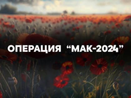 Запланированы три этапа операции «Мак-2024» в Ростовской области