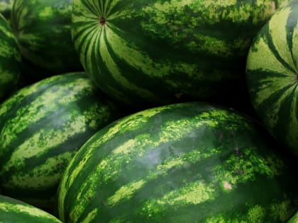 Доцент кафедры биохимии и микробиологии ЮФУ рассказал об опасности испортившегося арбуза