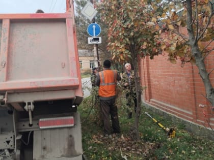 В Таганроге провели обрезку деревьев на восьми улицах