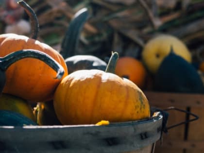 На День работника сельского хозяйства в Ростове потратят 1 млн рублей