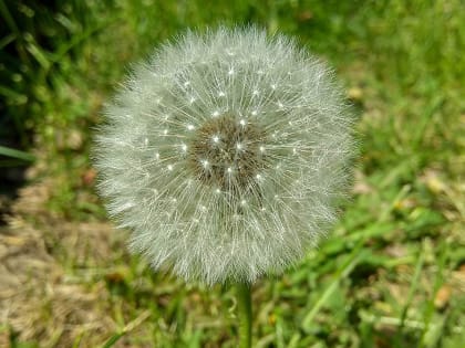 О погоде в Ростове: резкий поворот на лето