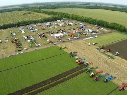 В преддверии уборочной страды в Зерноградском районе пройдет «День донского поля»