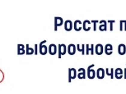 О проведении выборочного обследования рабочей силы в мае 2023 года.