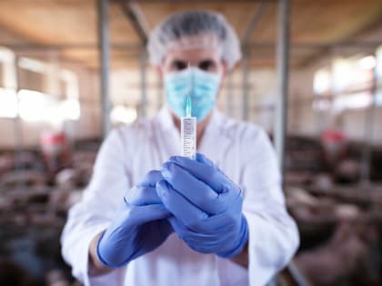 Ситуация опасная: как спастись от птичьего гриппа