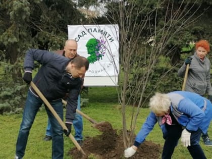Состоялся весенний День Древонасаждения