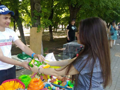 Зоофестиваль с питомцами из приютов открылся в Ростове при поддержке партпроекта «Защита животного мира»