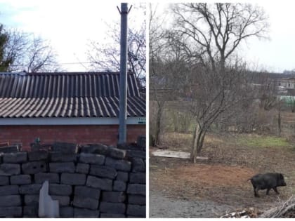 Состоялось очередное заседание административной комиссии при Администрации Усть-Донецкого района