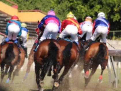 В Ростове зрителей впервые за последние годы пустят на скачки в воскресенье 19 мая