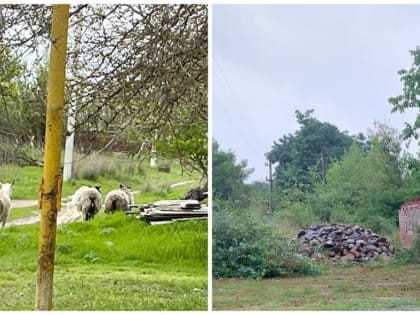 Проведено очередное заседание административной комиссии при Администрации Усть-Донецкого района