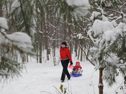 С 1 февраля повысят социальные выплаты: Сколько составит прибавка