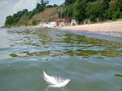 Погода на неделе в Таганроге будет облачной