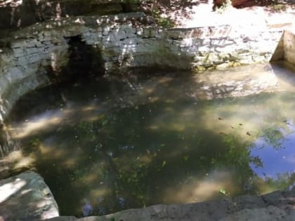 Ростовчане просят пустить воду и навести порядок на роднике святого Павла