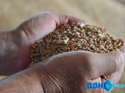 Из Ростовской области в три страны отправили почти 200 тысяч т зерна